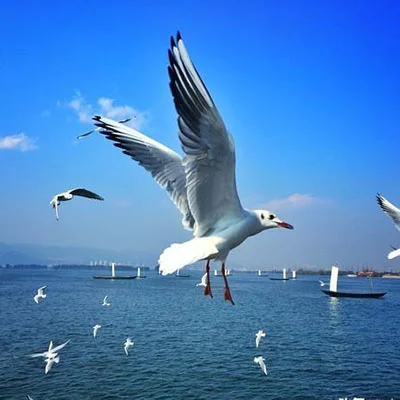 Kunming Travel Reviews: How Safe Is It for Tourists?