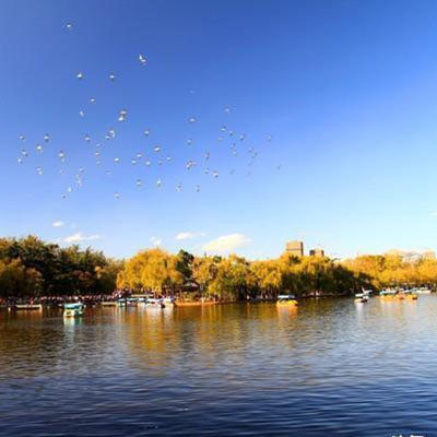 Where to Capture Stunning Natural Scenery in Kunming