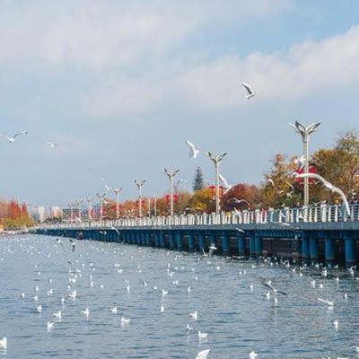 Kunming Travel Guide: The Best Cafés & Tea Houses
