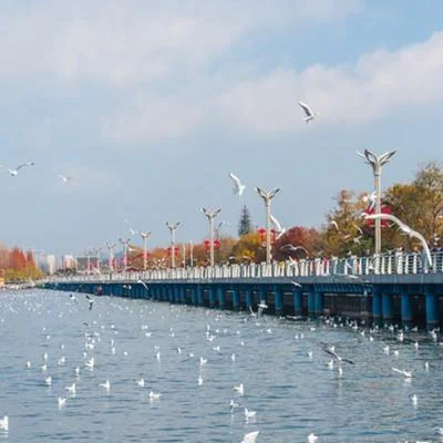 Kunming Travel Guide: The Best Cafés & Tea Houses